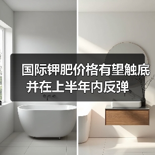 国际钾肥价格有望触底并在上半年内反弹(图4) 国际钾肥价格有望触底并在上半年内反弹(图4)