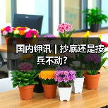 国内钾讯 | 抄底还是按兵不动?(图1) 国内钾讯 | 抄底还是按兵不动?(图1)