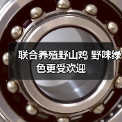 联合养殖野山鸡 野味绿色更受欢迎(图2) 联合养殖野山鸡 野味绿色更受欢迎(图2)
