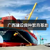 广西建设良种繁育基地(图3) 广西建设良种繁育基地(图3)
