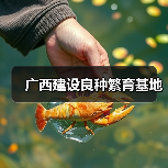 广西现代示范园助推优质果树品种升级-绿源新宇生物有机肥官网