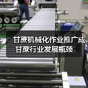 甘蔗机械化作业推广成甘蔗行业发展瓶颈(图3) 甘蔗机械化作业推广成甘蔗行业发展瓶颈(图3)