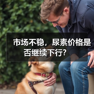 市场不稳,尿素价格是否继续下行?(图3) 市场不稳,尿素价格是否继续下行?(图3)
