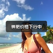 钾肥价格下行中(图4) 钾肥价格下行中(图4)