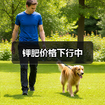 钾肥价格下行中(图3) 钾肥价格下行中(图3)