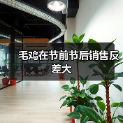 毛鸡在节前节后销售反差大(图2) 毛鸡在节前节后销售反差大(图2)
