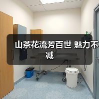 山茶花流芳百世 魅力不减(图3) 山茶花流芳百世 魅力不减(图3)