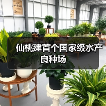 仙桃建首个国家级水产良种场(图2) 仙桃建首个国家级水产良种场(图2)