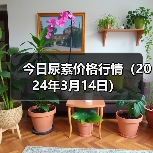 今日尿素价格行情(2024年3月14日)(图1) 今日尿素价格行情(2024年3月14日)(图1)