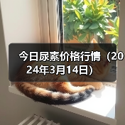 今日尿素价格行情(2024年3月14日)(图3) 今日尿素价格行情(2024年3月14日)(图3)