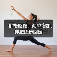 价格驱稳,询单增加,钾肥逐步回暖(图3) 价格驱稳,询单增加,钾肥逐步回暖(图3)