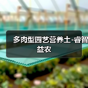 多肉型园艺营养土-睿智益农(图2) 多肉型园艺营养土-睿智益农(图2)