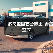 多肉型园艺营养土-睿智益农(图1) 多肉型园艺营养土-睿智益农(图1)