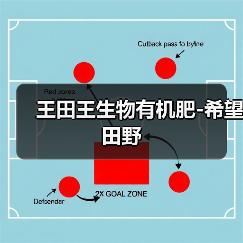 王田王生物有机肥-希望田野(图2) 王田王生物有机肥-希望田野(图2)