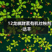 12龙祺酵素有机壮秧剂-达丰(图1) 12龙祺酵素有机壮秧剂-达丰(图1)