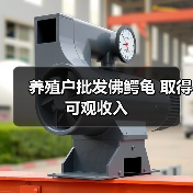 佛鳄龟生态养殖盈利模式及市场前景-绿源新宇生物有机肥官网 佛鳄龟生态养殖盈利模式及市场前景-绿源新宇生物有机肥官网