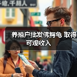养殖户批发佛鳄龟 取得可观收入(图2) 养殖户批发佛鳄龟 取得可观收入(图2)