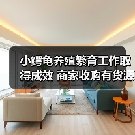 小鳄龟养殖繁育工作取得成效 商家收购有货源(图2) 小鳄龟养殖繁育工作取得成效 商家收购有货源(图2)