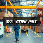 收购山茶花的必要性（图4）