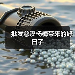 批发慈溪杨梅带来的好日子(图3) 批发慈溪杨梅带来的好日子(图3)