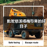 慈溪杨梅地理优势助力品质热销 横向对比批发商经验-绿源新宇生 慈溪杨梅地理优势助力品质热销 横向对比批发商经验-绿源新宇生