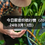 今日尿素价格行情(2024年3月13日)(图1) 今日尿素价格行情(2024年3月13日)(图1)