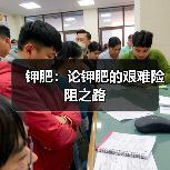 钾肥:论钾肥的艰难险阻之路(图2) 钾肥:论钾肥的艰难险阻之路(图2)