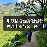 引领精准智能化施肥:新洋丰参与又一项“十四五”国家重点研发计划项目启动(图1) 引领精准智能化施肥:新洋丰参与又一项“十四五”国家重点研发计划项目启动(图1)