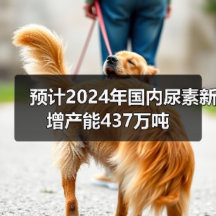 预计2024年国内尿素新增产能437万吨(图4) 预计2024年国内尿素新增产能437万吨(图4)