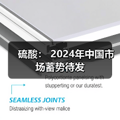 硫酸: 2024年中国市场蓄势待发(图4) 硫酸: 2024年中国市场蓄势待发(图4)