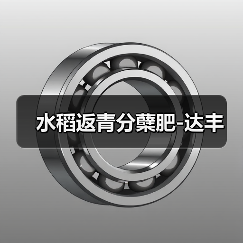 水稻返青分蘖肥-达丰(图2) 水稻返青分蘖肥-达丰(图2)