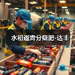 水稻返青分蘖肥-达丰(图3) 水稻返青分蘖肥-达丰(图3)