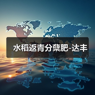水稻返青分蘖肥-达丰(图1) 水稻返青分蘖肥-达丰(图1)