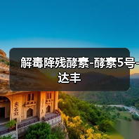 解毒降残酵素-酵素5号-达丰(图2) 解毒降残酵素-酵素5号-达丰(图2)