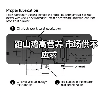 跑山鸡高营养 市场供不应求(图2) 跑山鸡高营养 市场供不应求(图2)