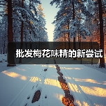 批发梅花味精的新尝试(图3) 批发梅花味精的新尝试(图3)