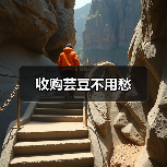 收购芸豆不用愁 收购芸豆不用愁