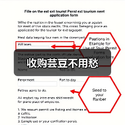 收购芸豆不用愁(图3) 收购芸豆不用愁(图3)