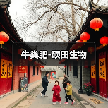 牛粪肥-硕田生物(图1) 牛粪肥-硕田生物(图1)