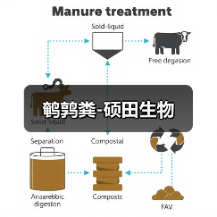 鹌鹑粪-硕田生物（图1）