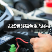 市场看好绿色生态椪柑(图2) 市场看好绿色生态椪柑(图2)