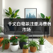 千丈白毫茶注重消费者市场(图4) 千丈白毫茶注重消费者市场(图4)