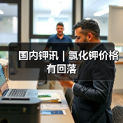 国内钾讯 | 氯化钾价格有回落(图1) 国内钾讯 | 氯化钾价格有回落(图1)