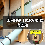 国内钾讯 | 氯化钾价格有回落(图2) 国内钾讯 | 氯化钾价格有回落(图2)