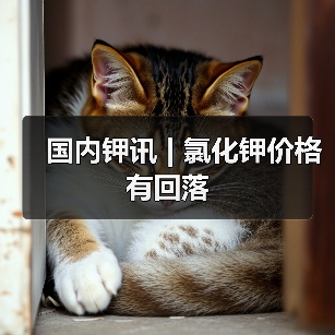 国内钾讯 | 氯化钾价格有回落(图4) 国内钾讯 | 氯化钾价格有回落(图4)