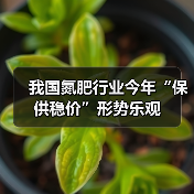 我国氮肥行业今年“保供稳价”形势乐观(图4) 我国氮肥行业今年“保供稳价”形势乐观(图4)
