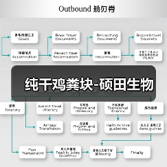 纯干鸡粪块-硕田生物(图1) 纯干鸡粪块-硕田生物(图1)