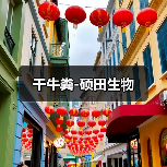 干牛粪-硕田生物(图1) 干牛粪-硕田生物(图1)