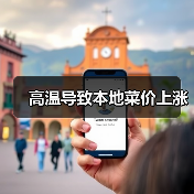 高温导致本地菜价上涨 高温导致本地菜价上涨