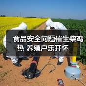 食品安全问题催生柴鸡热 养殖户乐开怀(图4) 食品安全问题催生柴鸡热 养殖户乐开怀(图4)